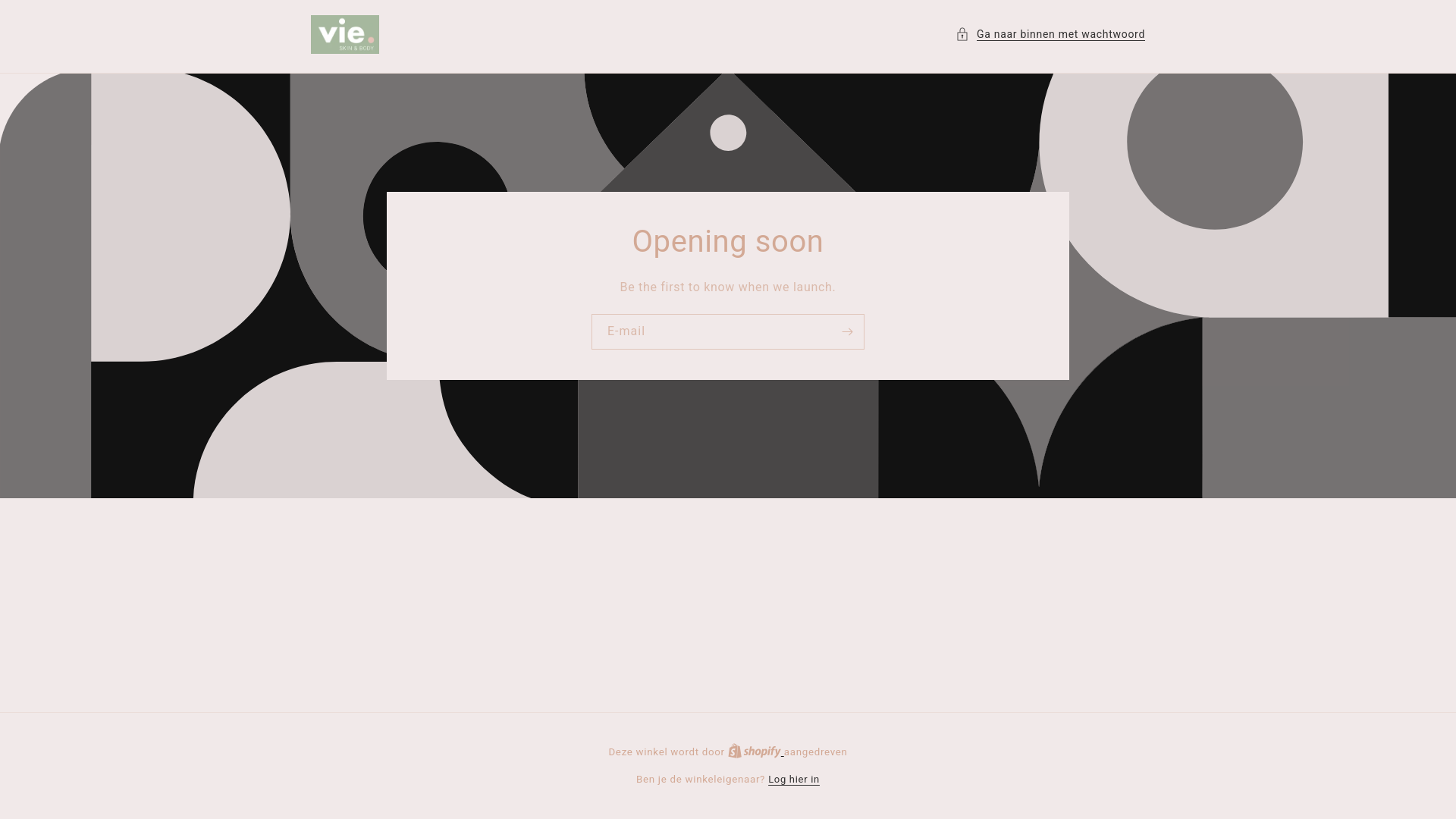 website screenshot of https://salonvieshop.nl/