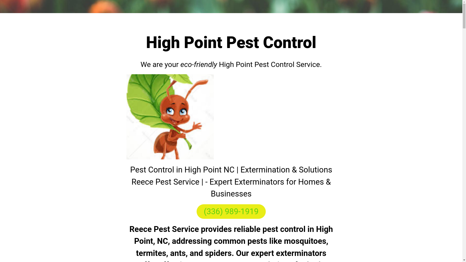 website screenshot of https://highpoint-pestcontrol.com/