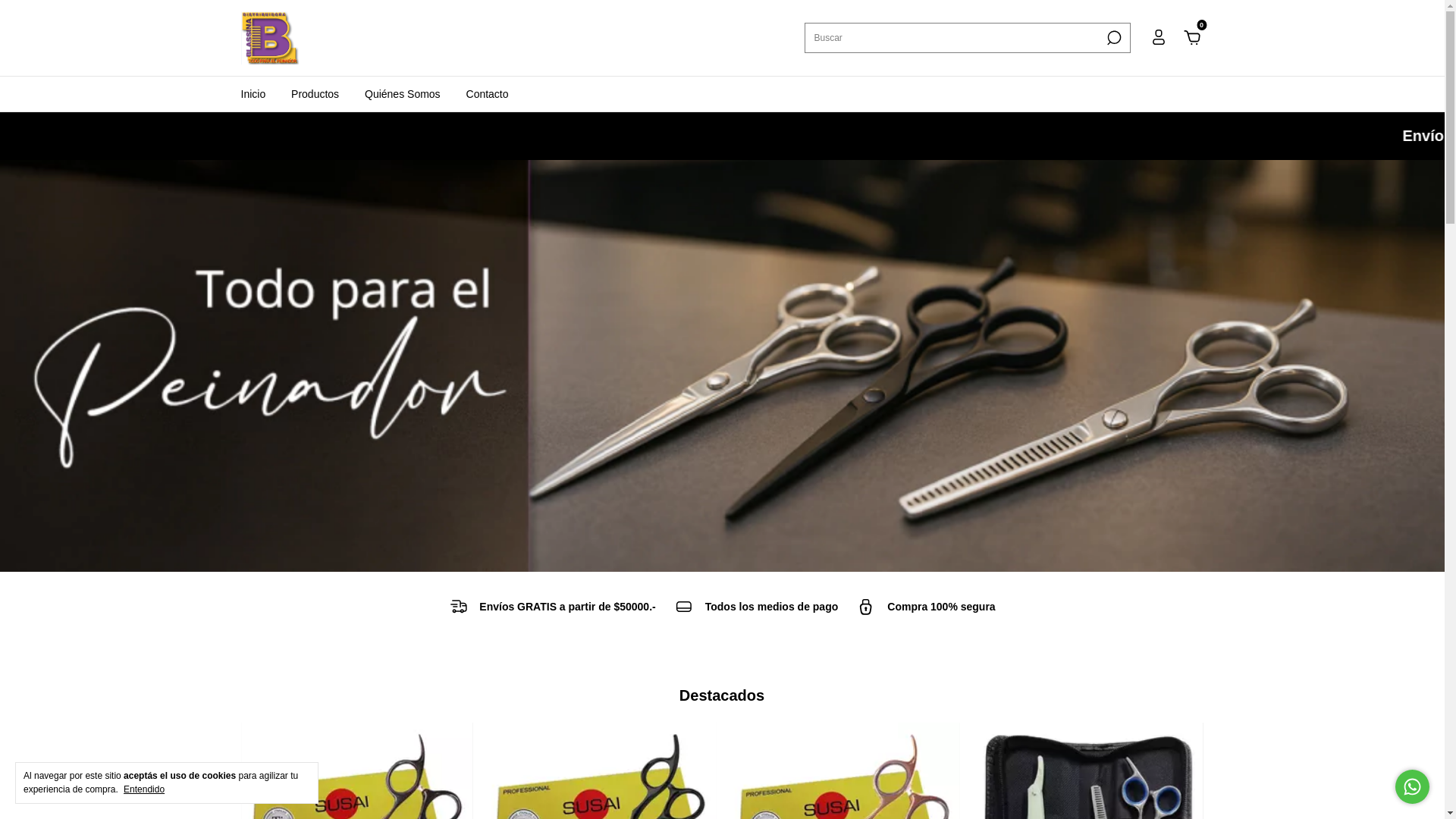 website screenshot of https://distribuidorablassina.com.ar/