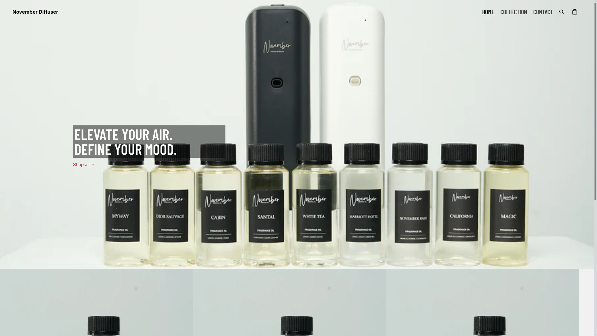 website screenshot of https://novemberdiffuser.com/