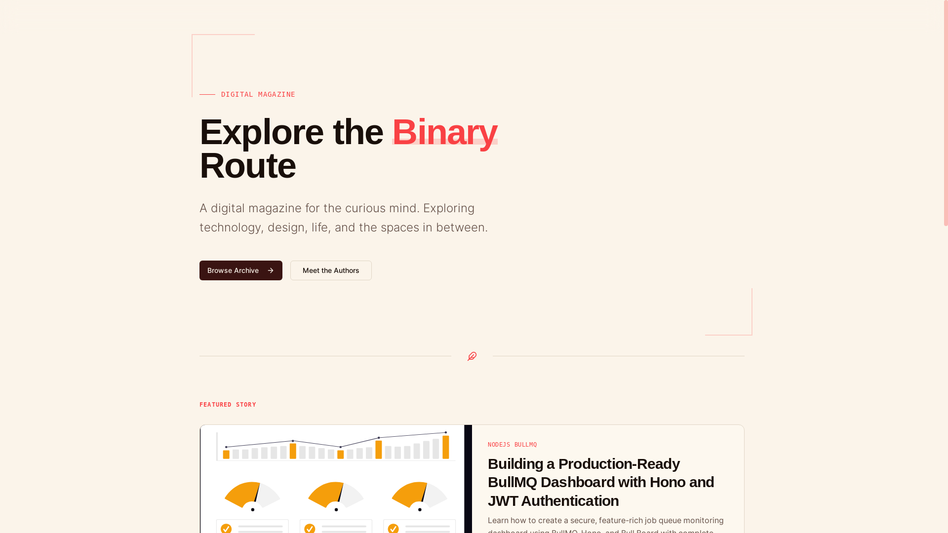 website screenshot of https://binaryroute.com/