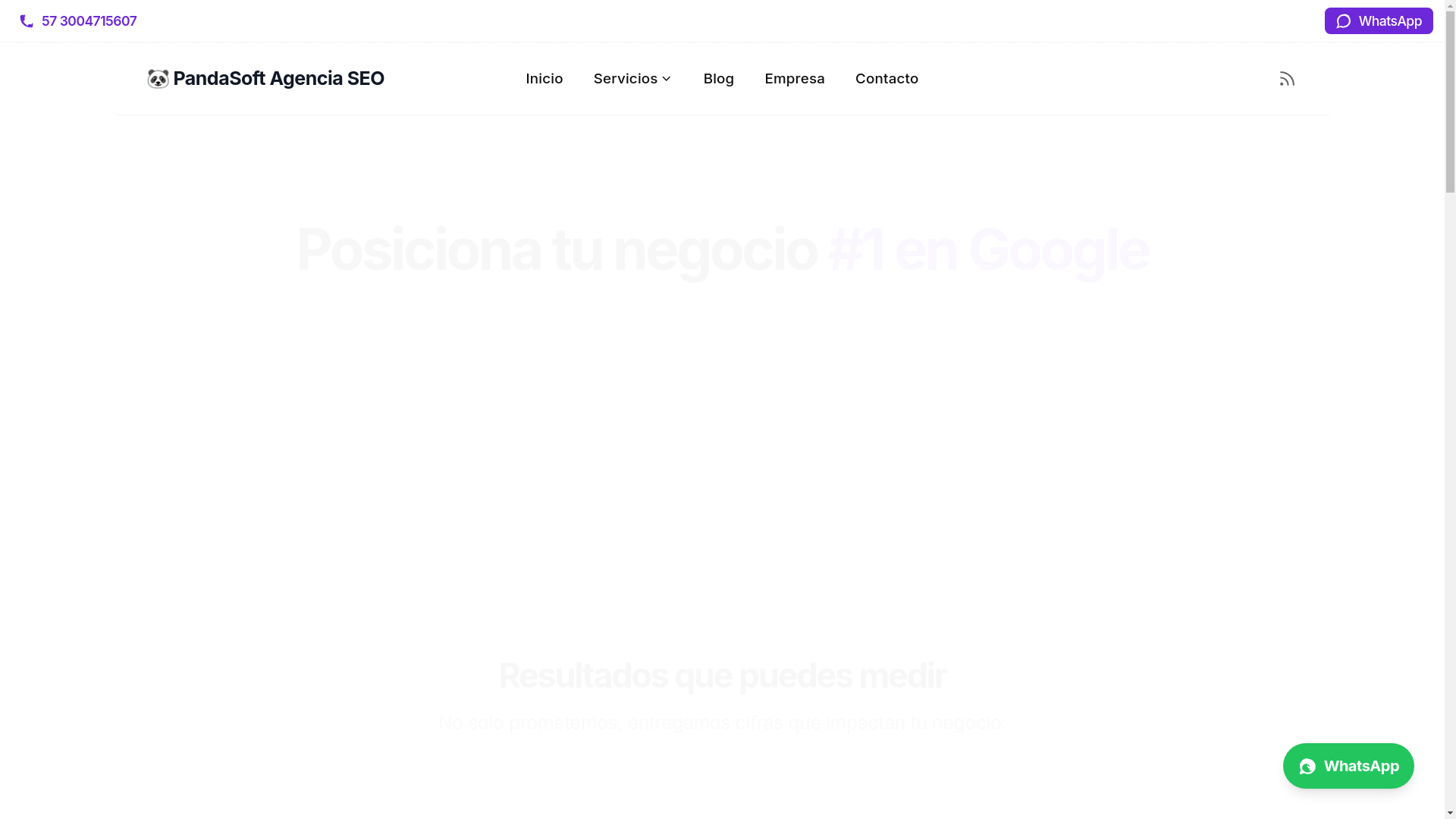 website screenshot of https://seoproagencia.com/