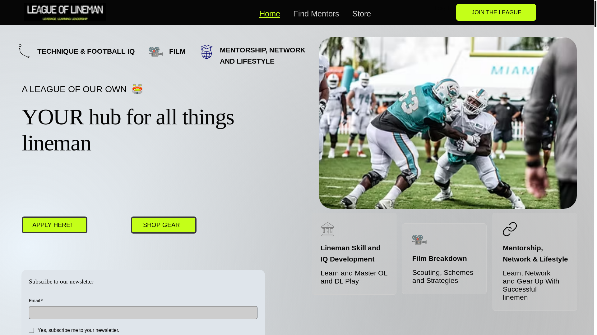 website screenshot of https://thelinemanbrand.com/