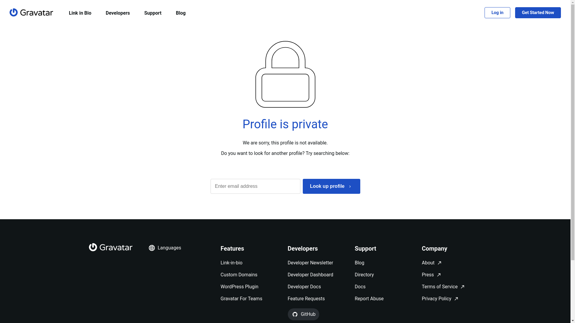 website screenshot of https://shateer.bio/