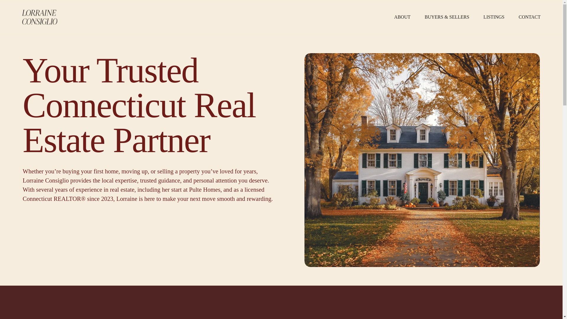 website screenshot of https://lorraineconsiglio.com/