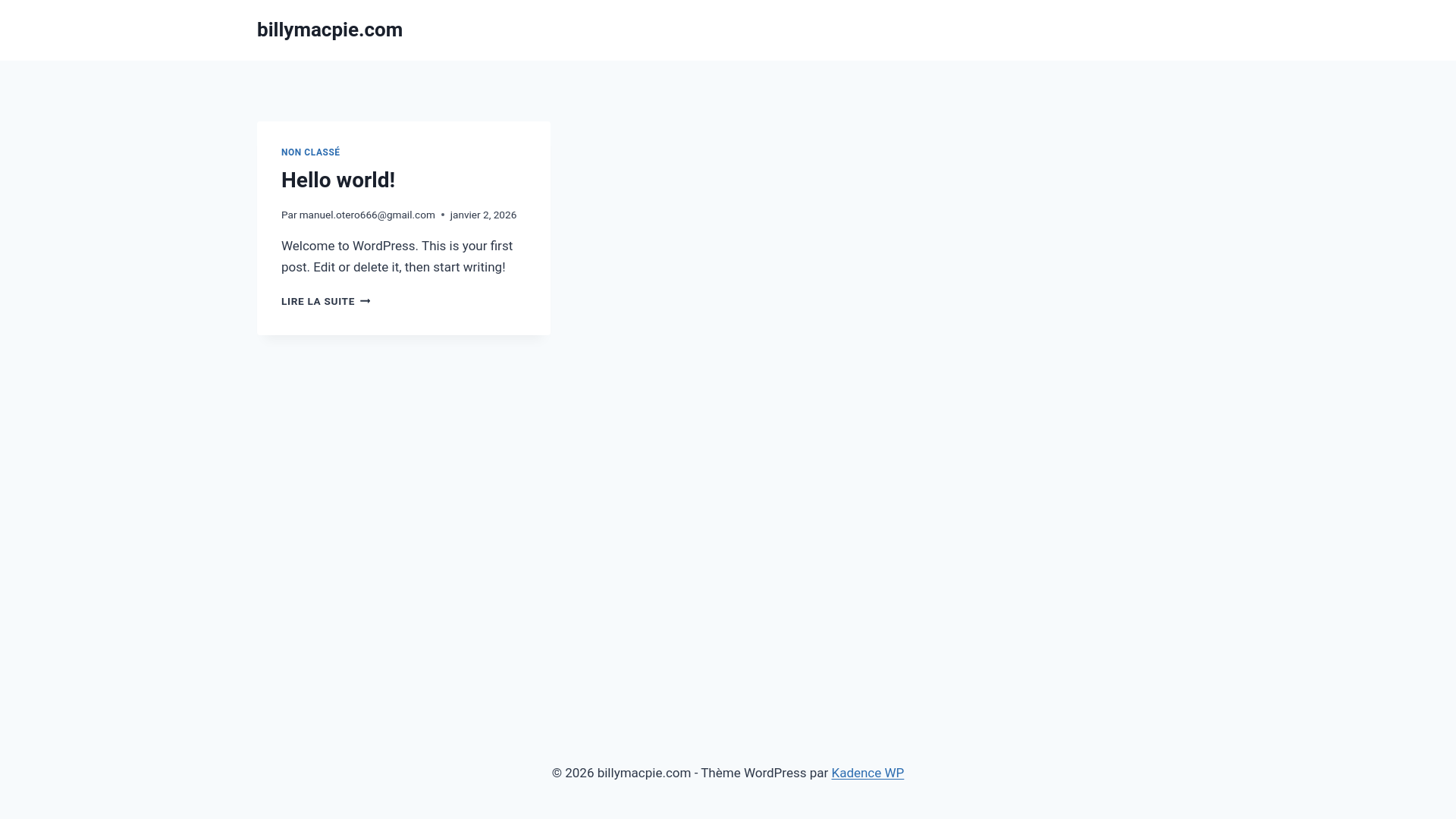 website screenshot of https://billymacpie.com/