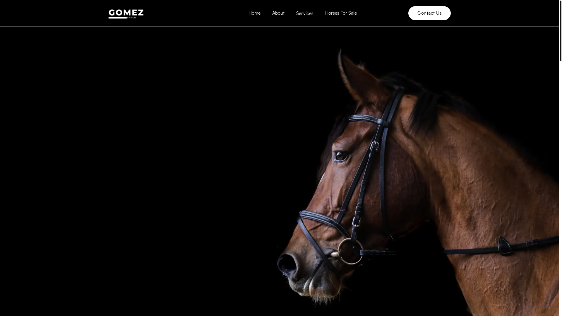 website screenshot of https://quarterhorsetraining.com/