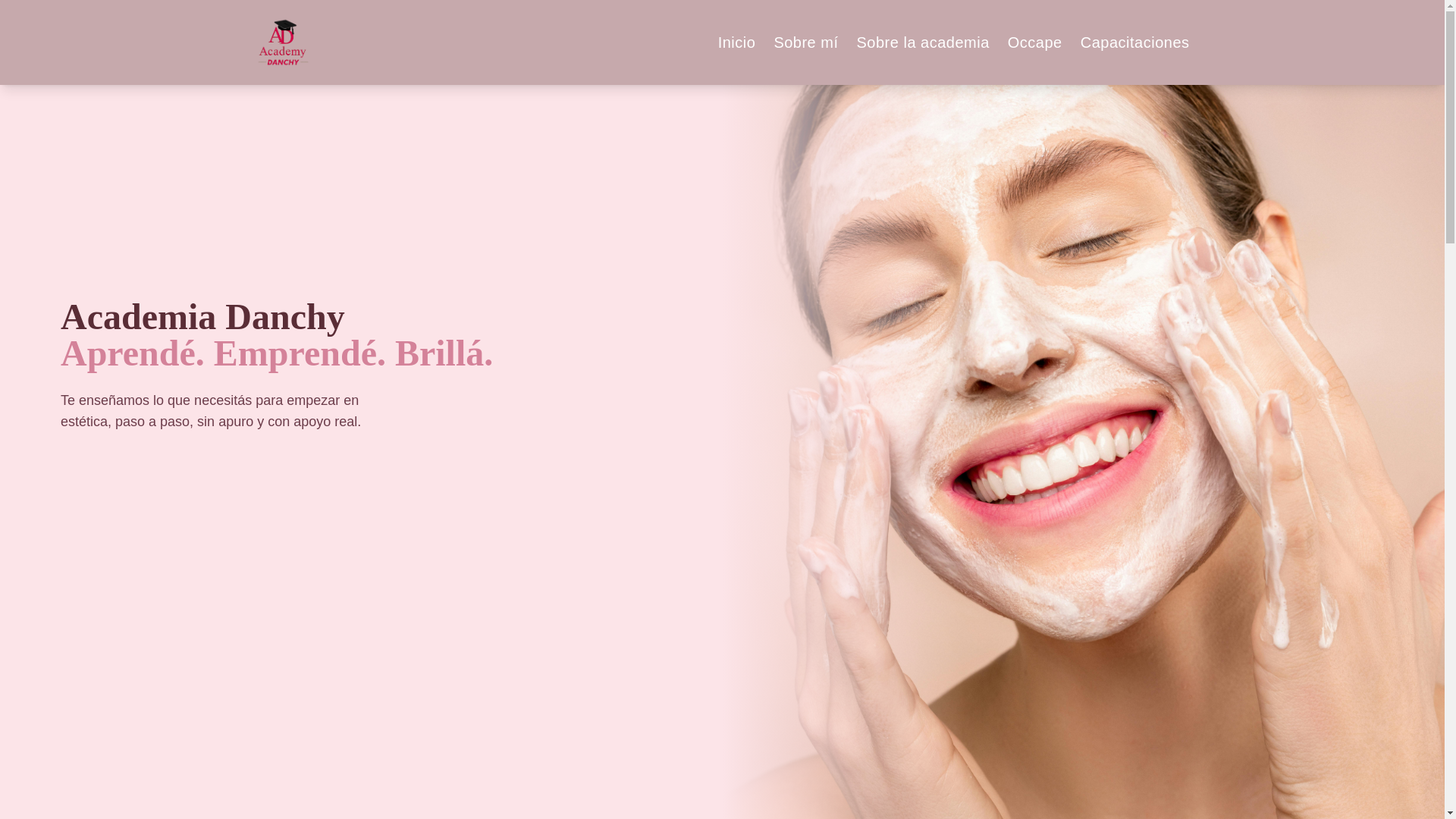 website screenshot of https://academiadanchy.com/