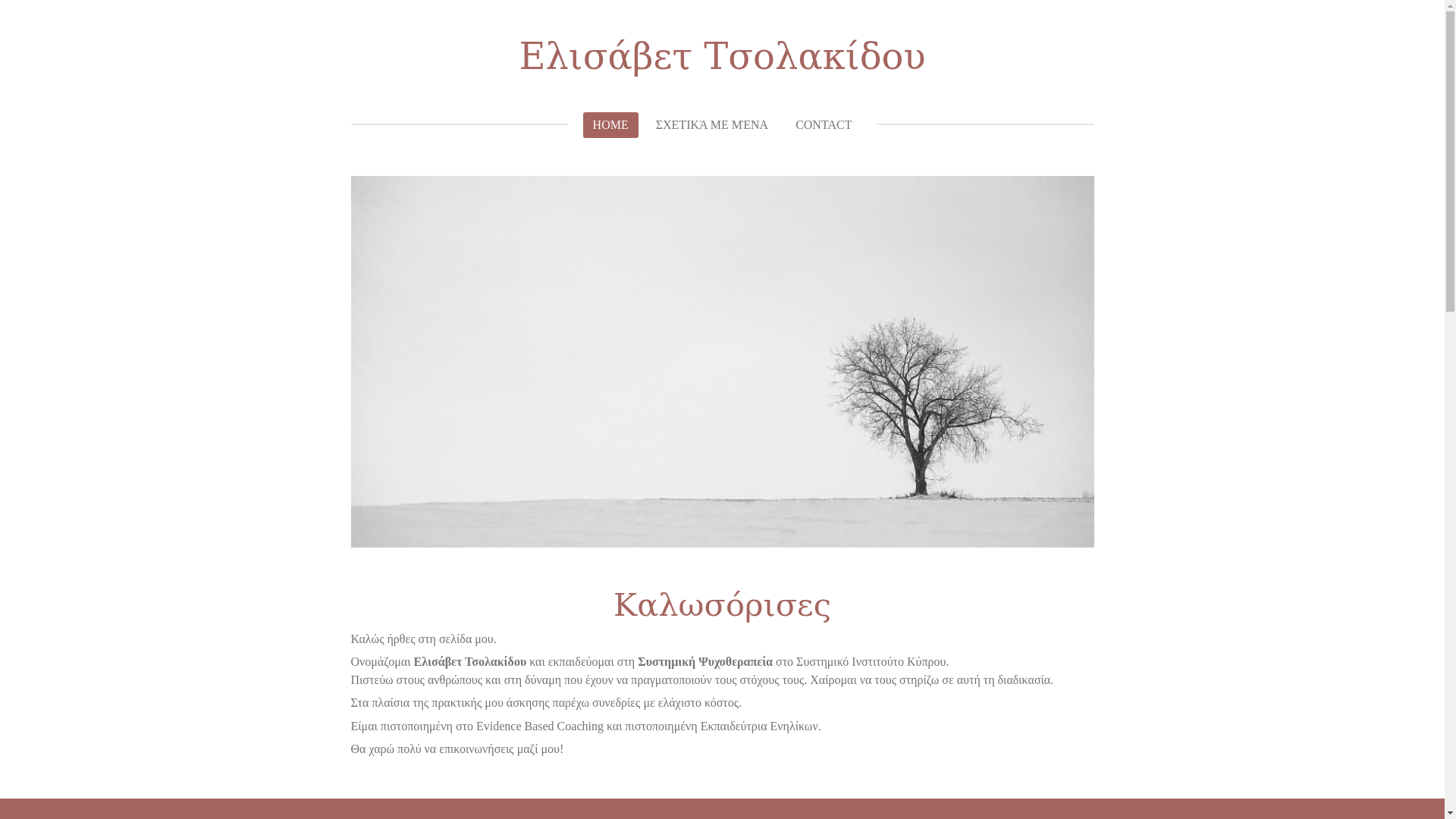 website screenshot of https://elisavet-tsolakidou.com/