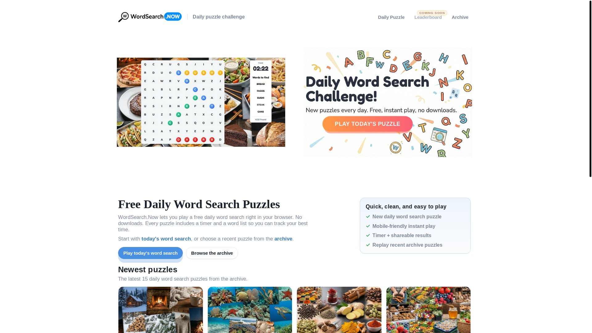 website screenshot of https://wordsearch.now/