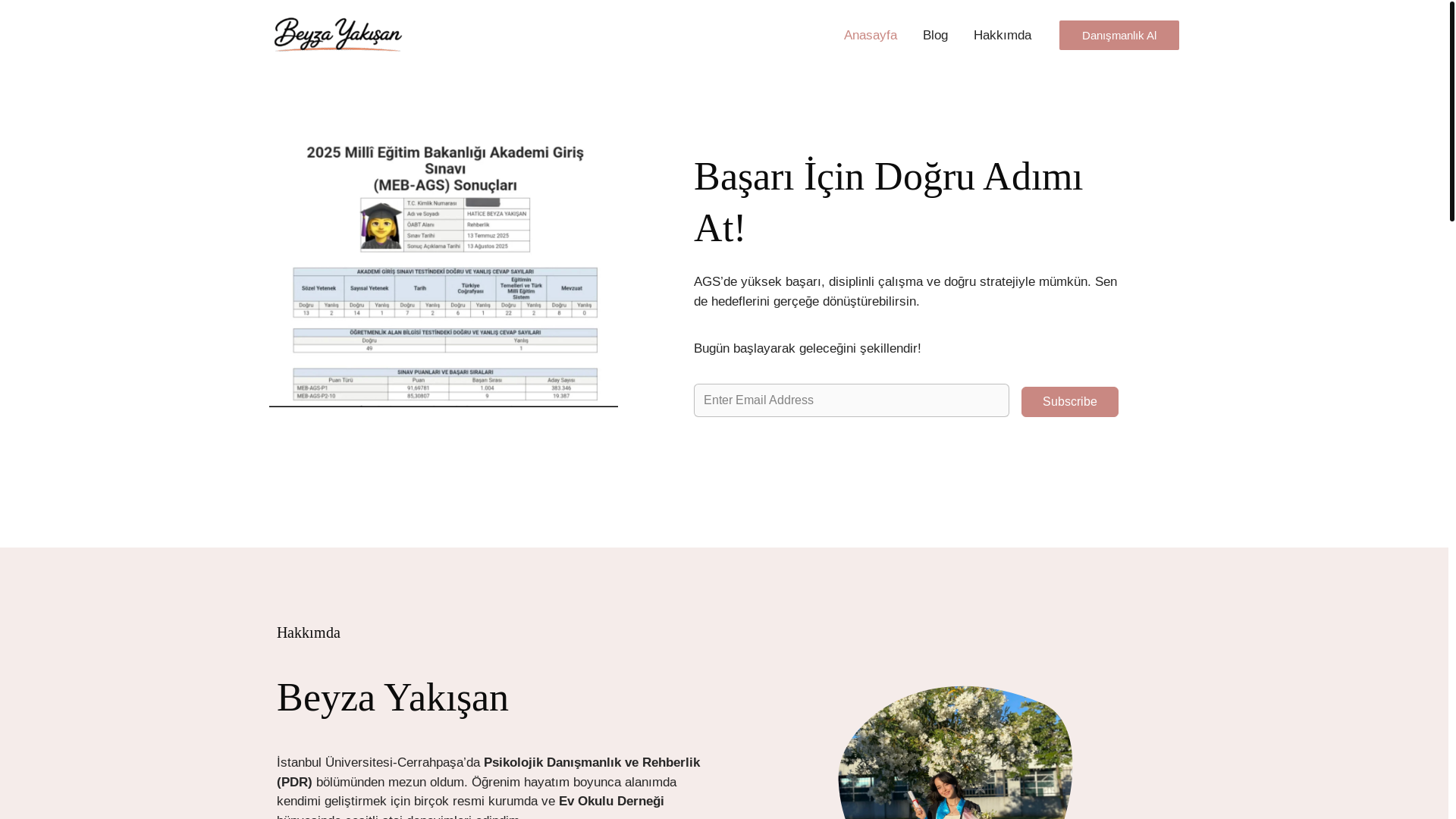 website screenshot of https://beyzayakisan.com/
