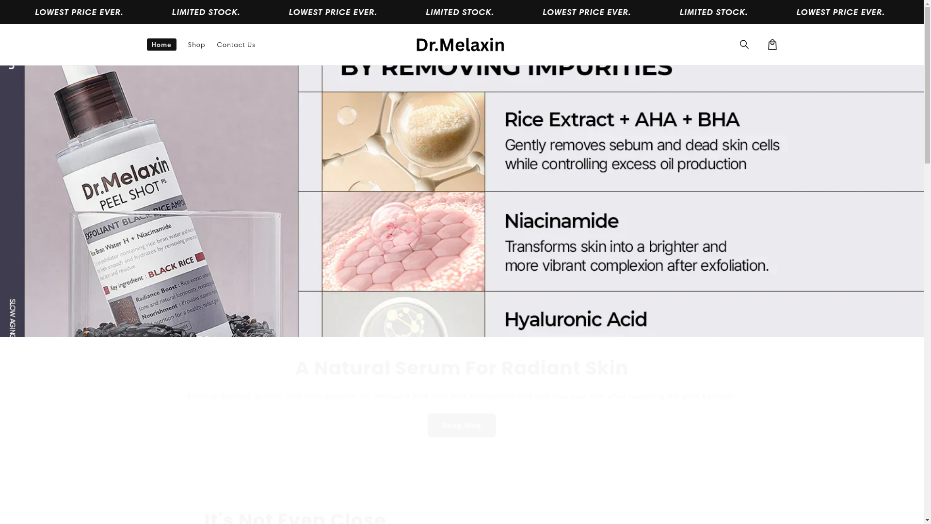 website screenshot of https://melaxinsolutions.com/