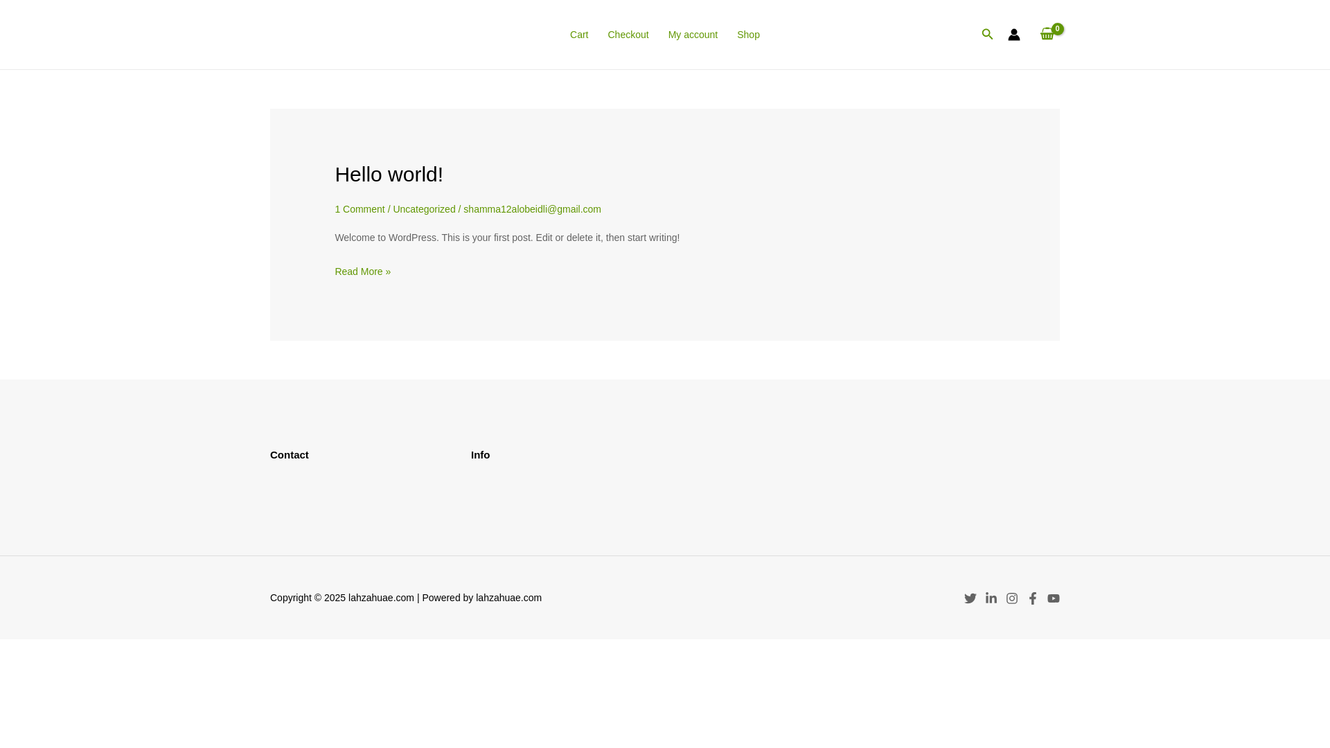 website screenshot of https://lahzahuae.com/