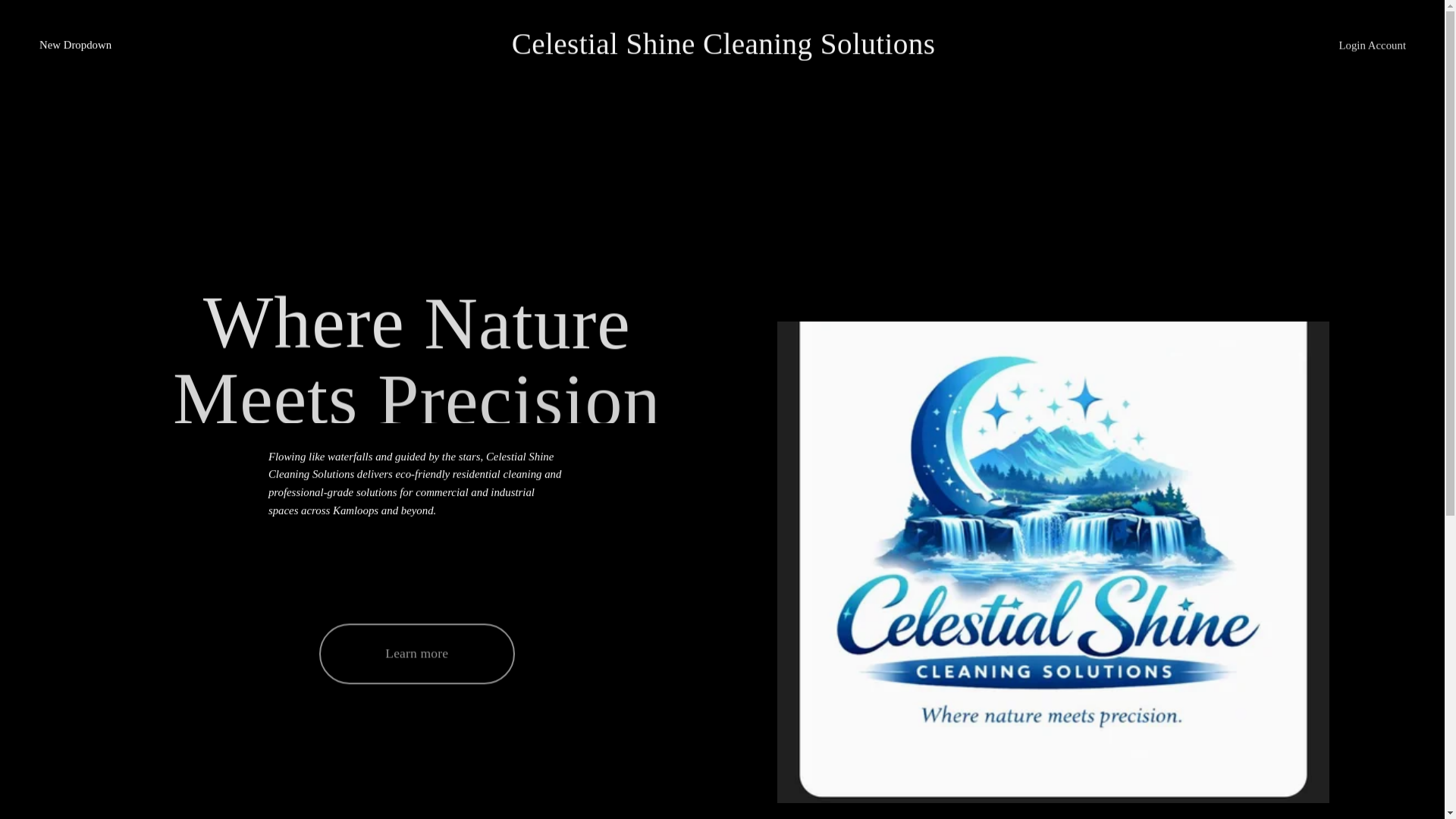 website screenshot of https://celshine.ca/