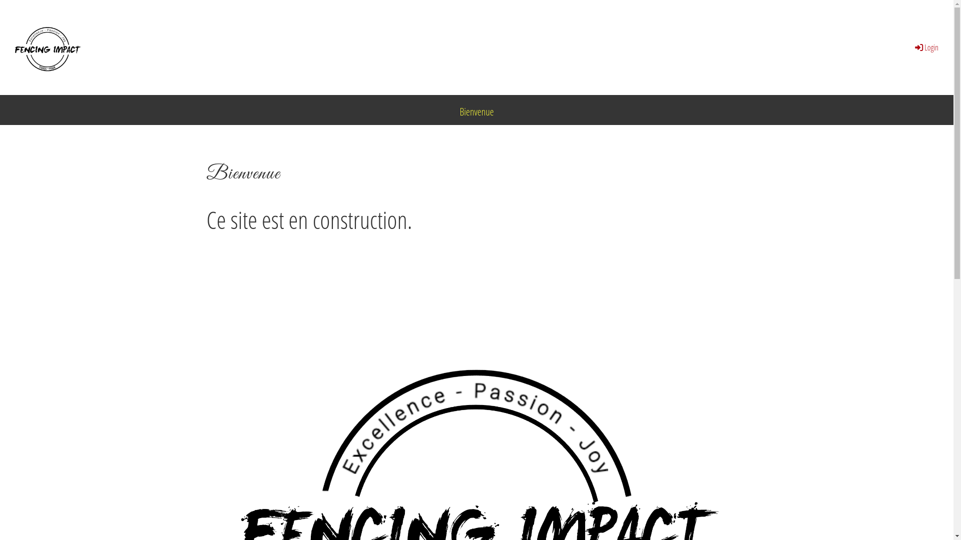 website screenshot of https://fencing-impact.ch/
