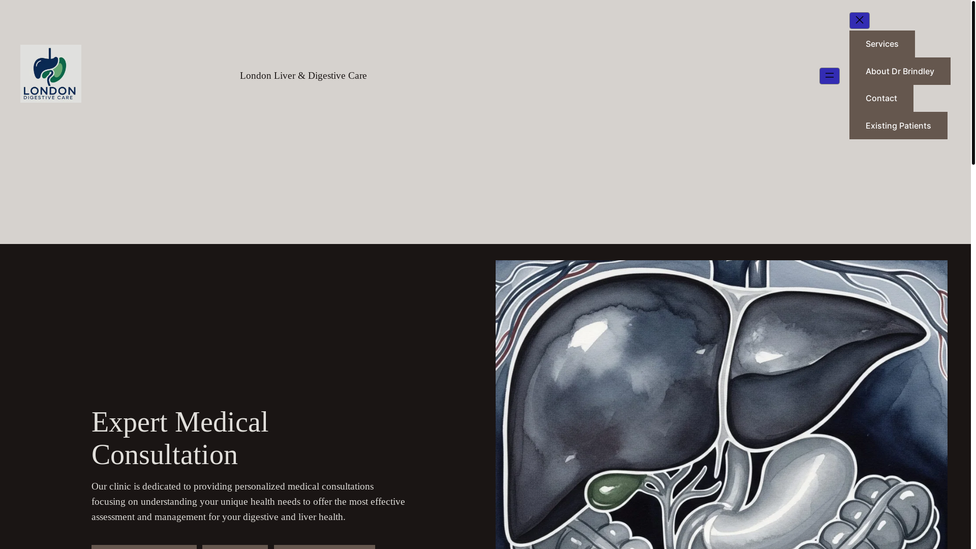 website screenshot of https://londondigestivecare.co.uk/