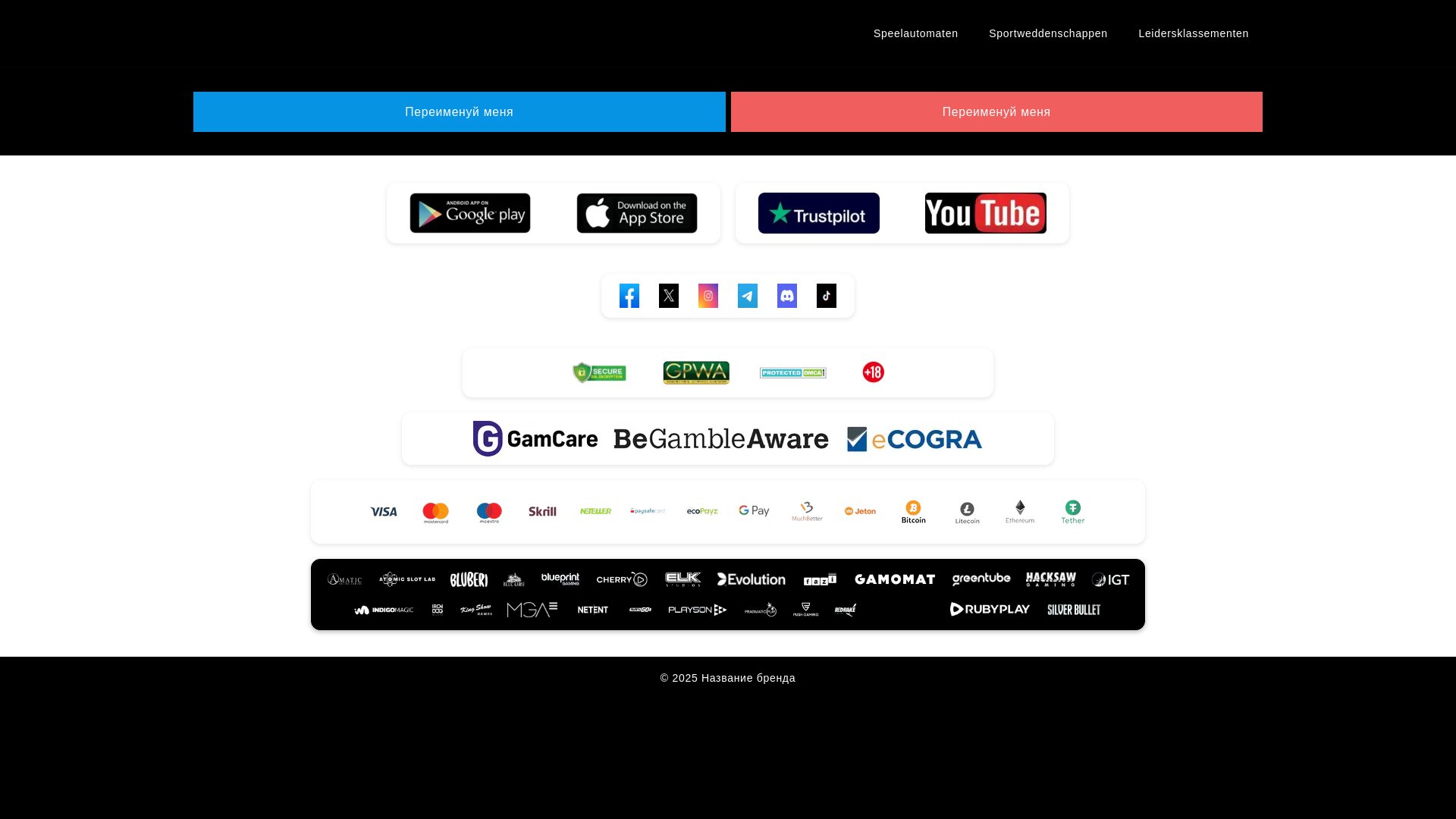 website screenshot of https://spinsinonl.com/