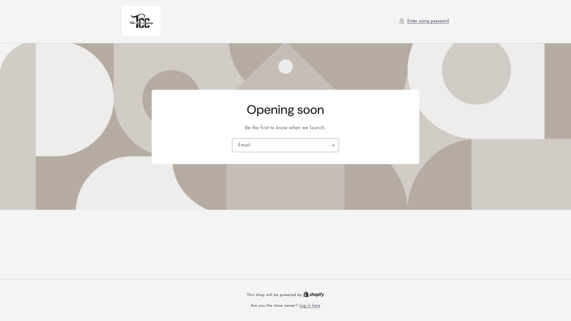 website screenshot of https://shopteetscattlecompany.com/