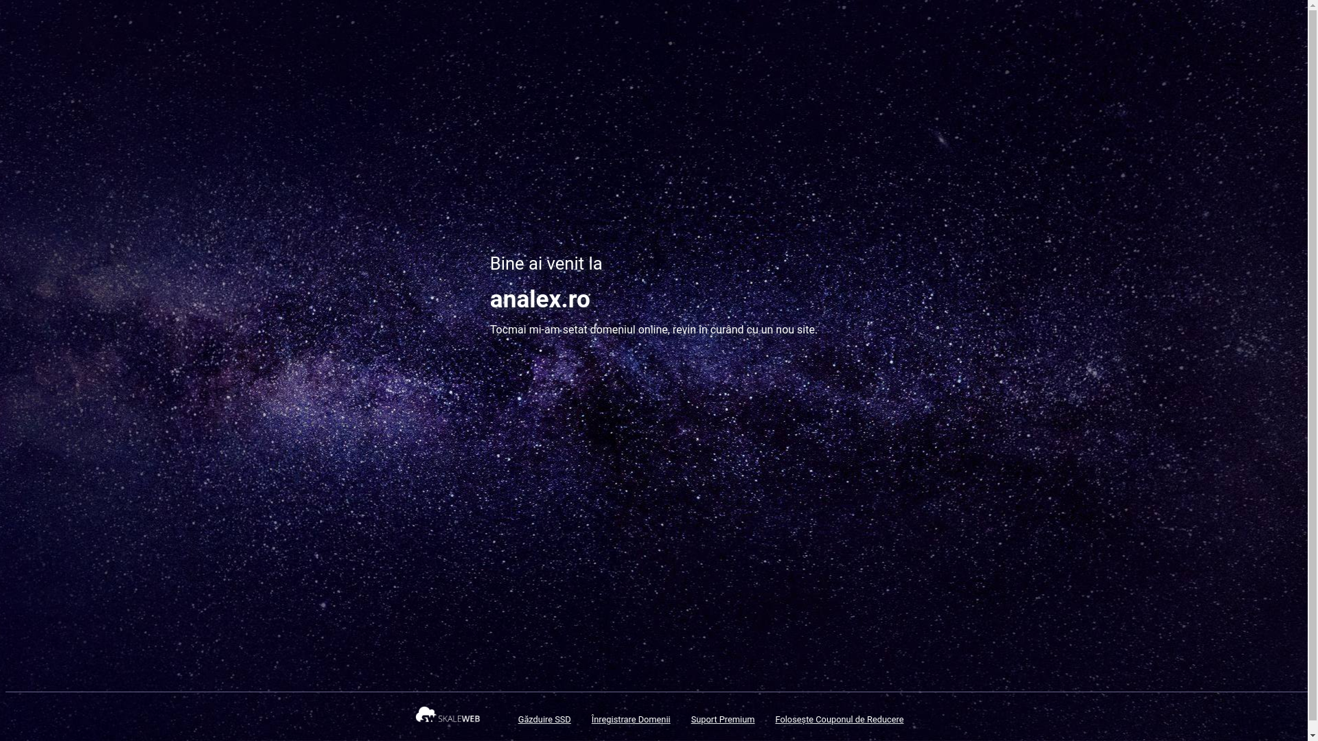 website screenshot of https://analex.ro/