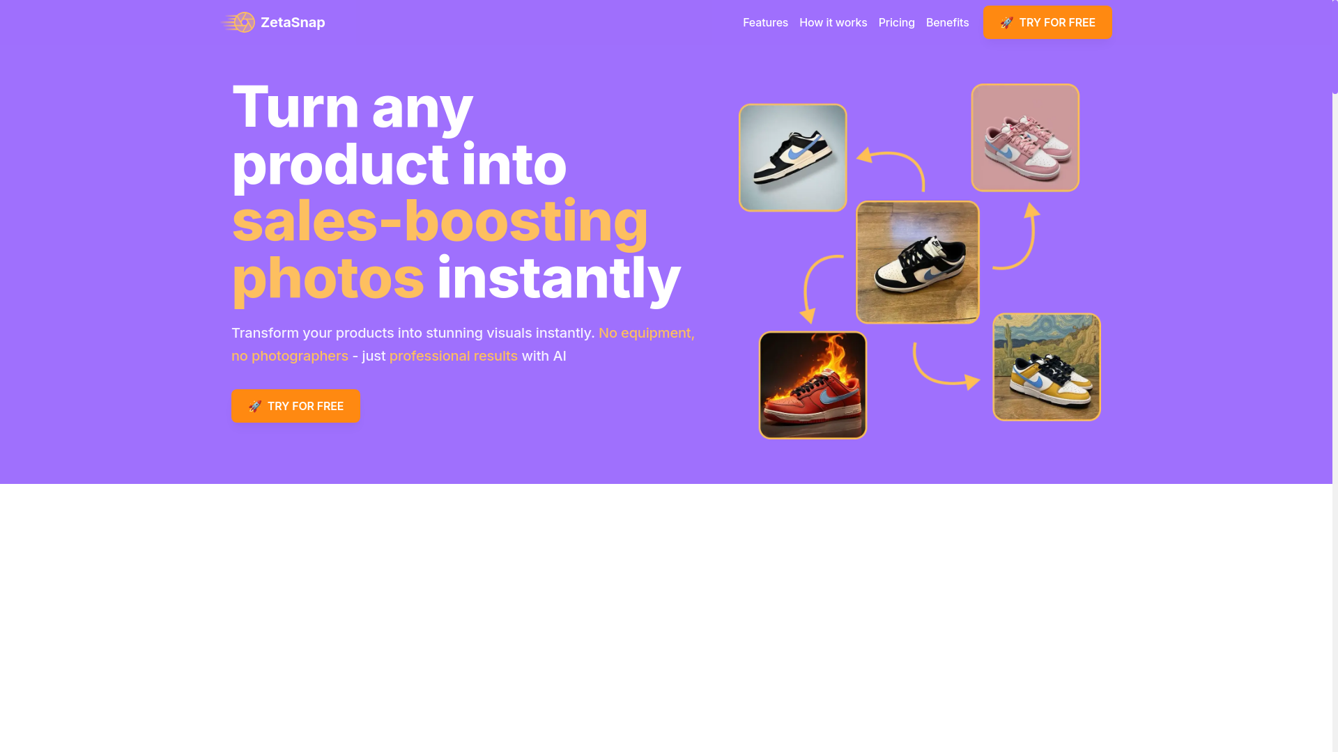 website screenshot of https://zetasnap.com