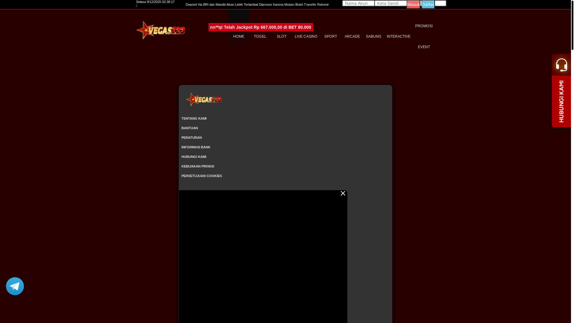 website screenshot of https://vg123last4.com/