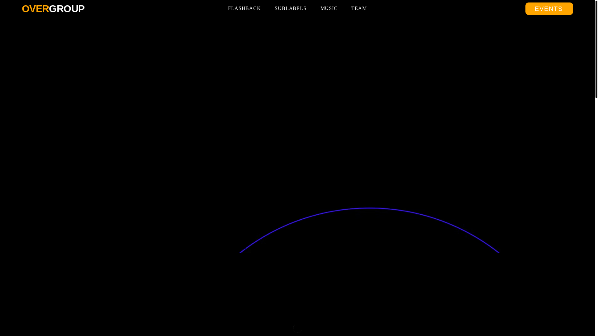 website screenshot of https://overgroup.info/