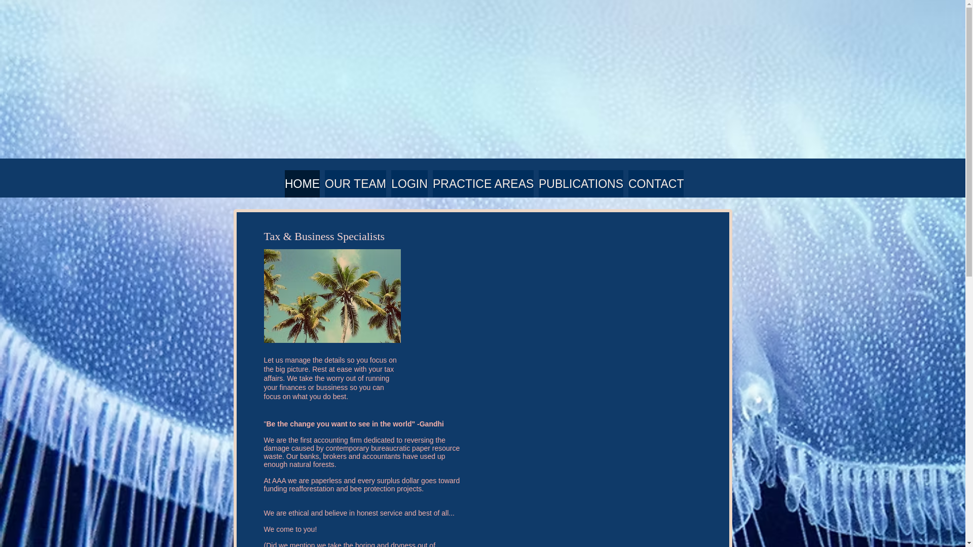 website screenshot of https://lnaccountants.com.au/