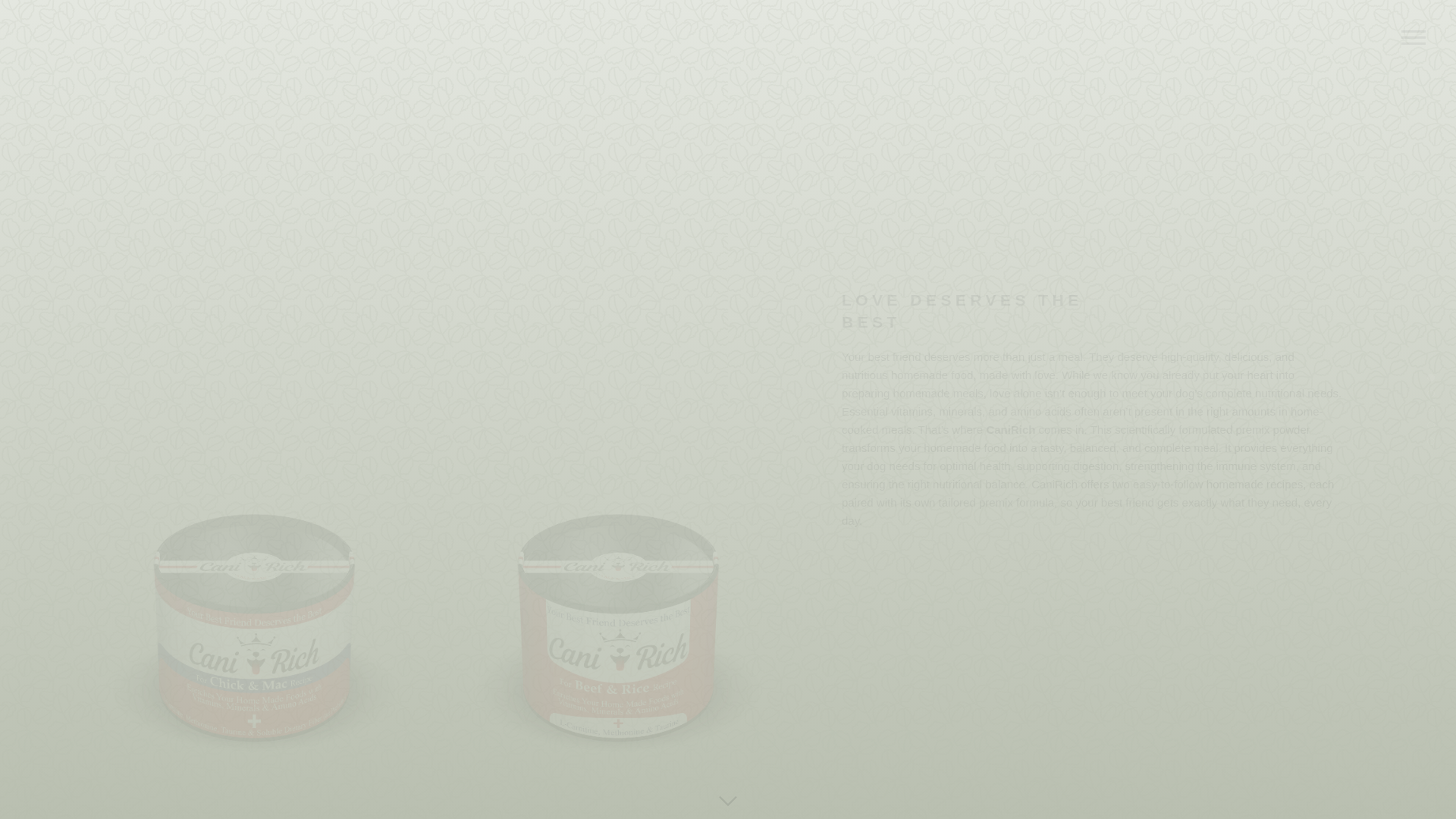 website screenshot of https://canirich-demo.pages.dev/