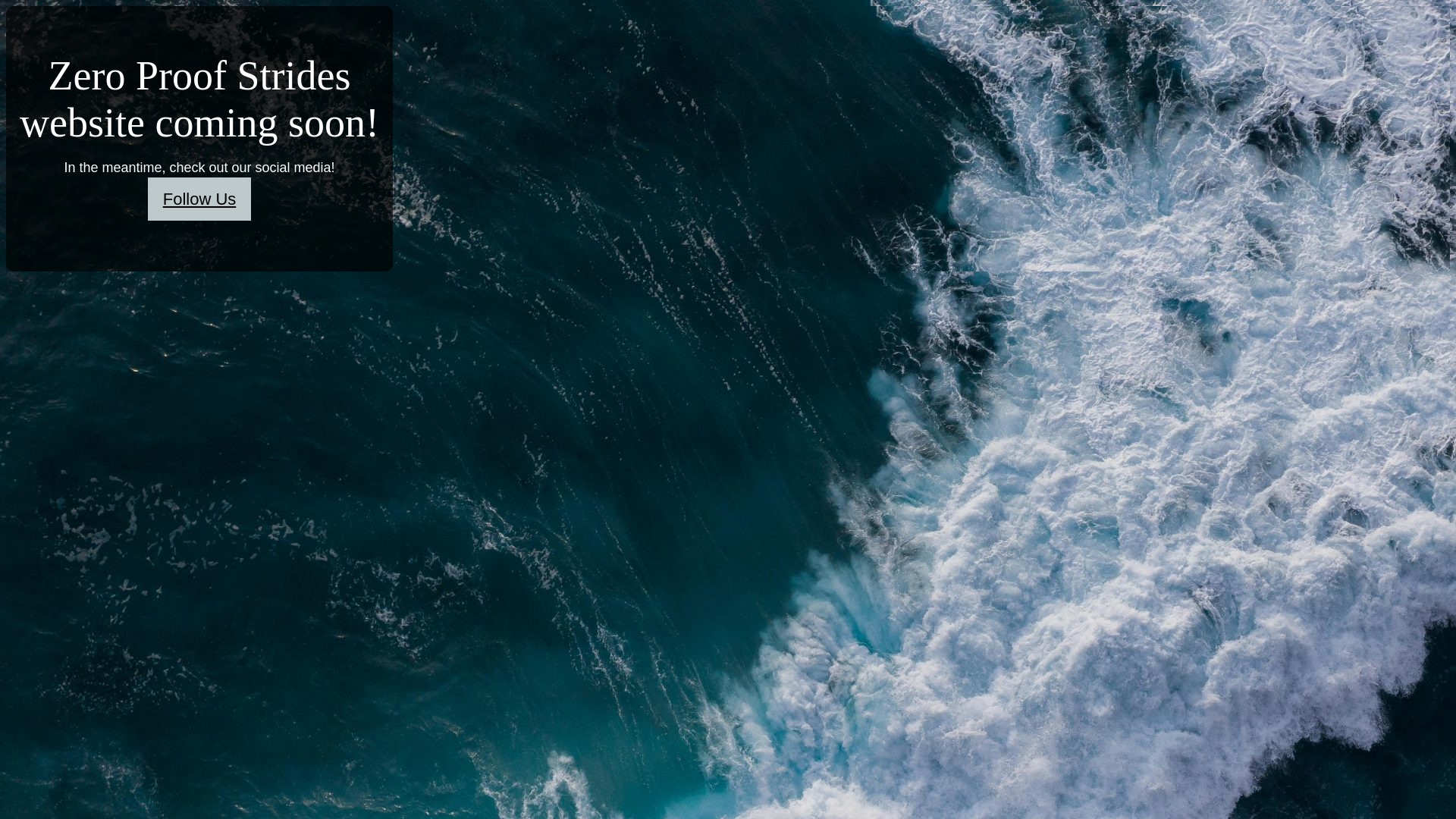 website screenshot of https://zeroproofstrides.com/