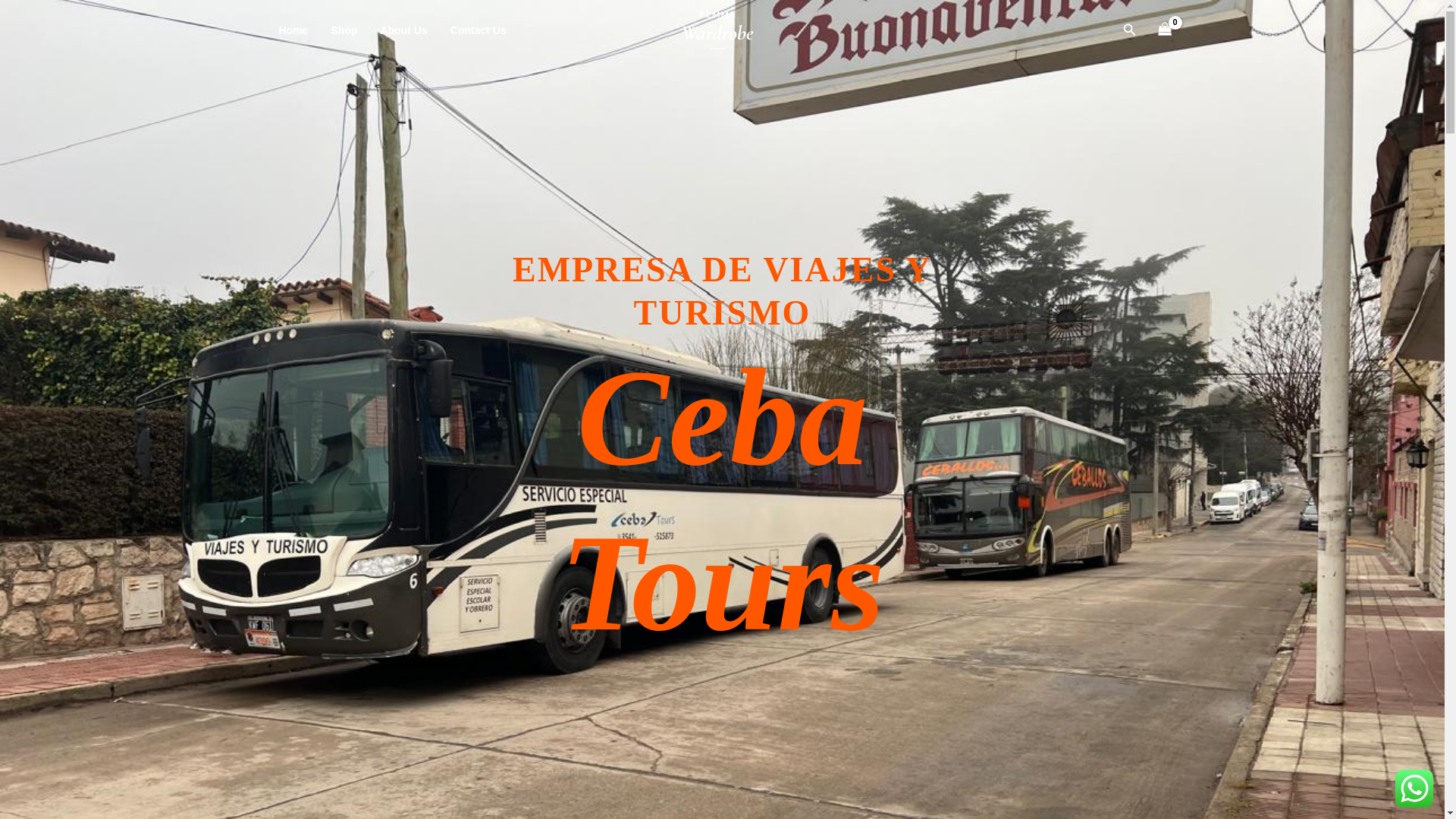 website screenshot of https://cebatours.com/