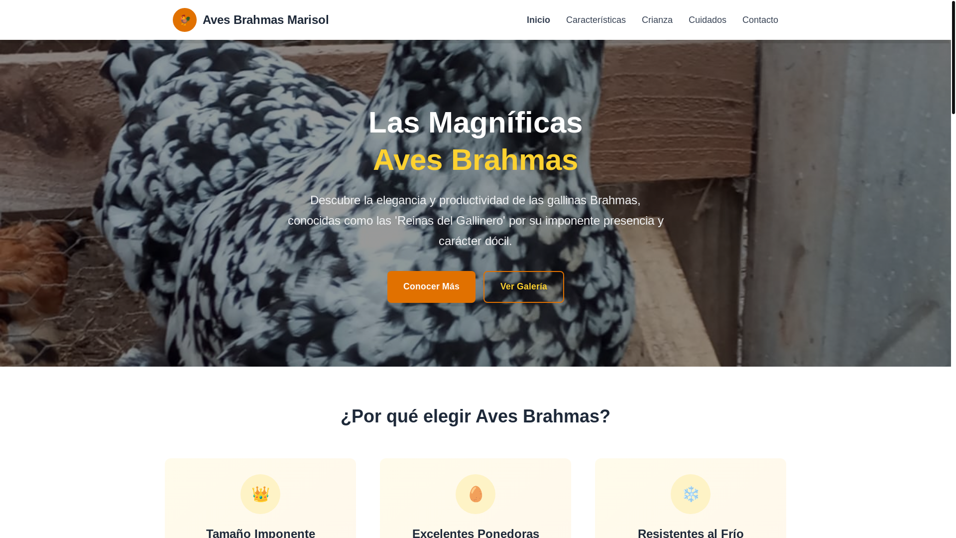 website screenshot of https://aves-brahmas-marisol.pages.dev/