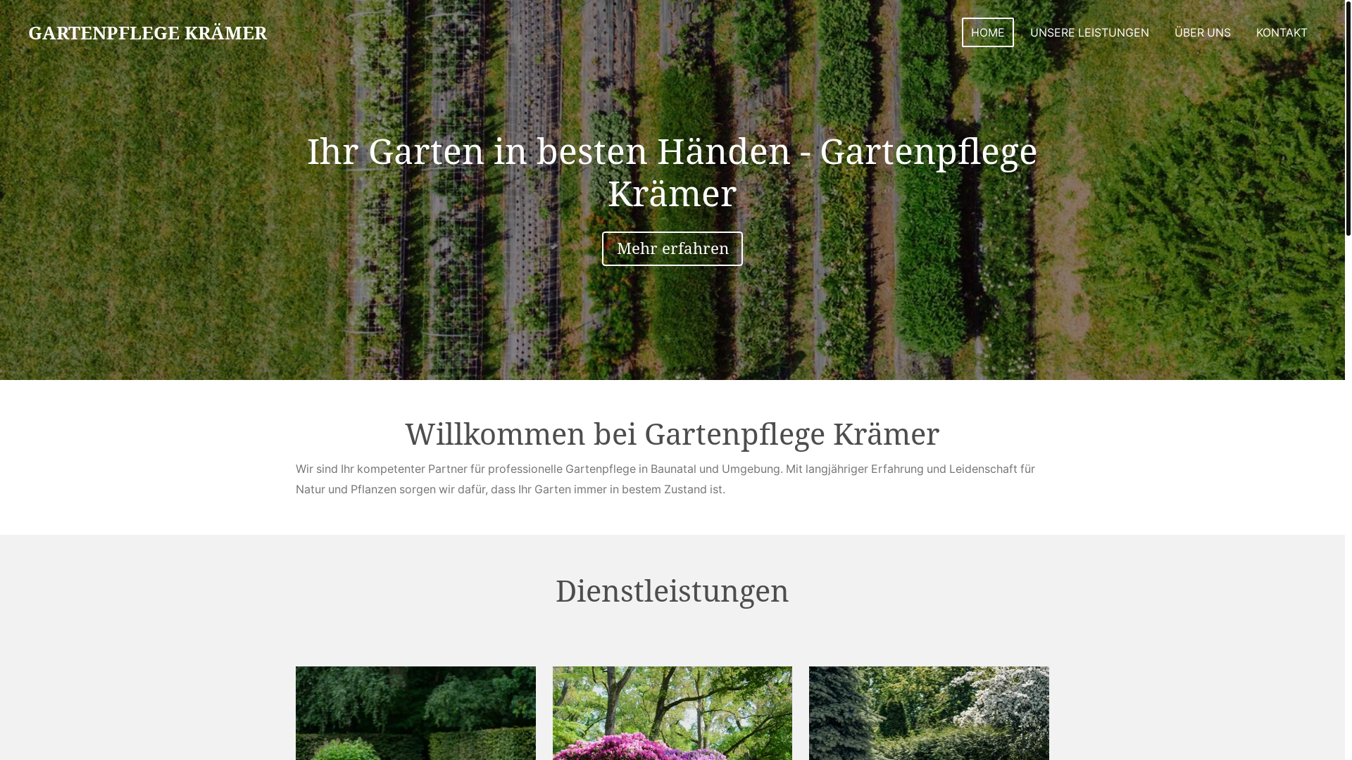 website screenshot of https://gartenpflegekraemer.de/