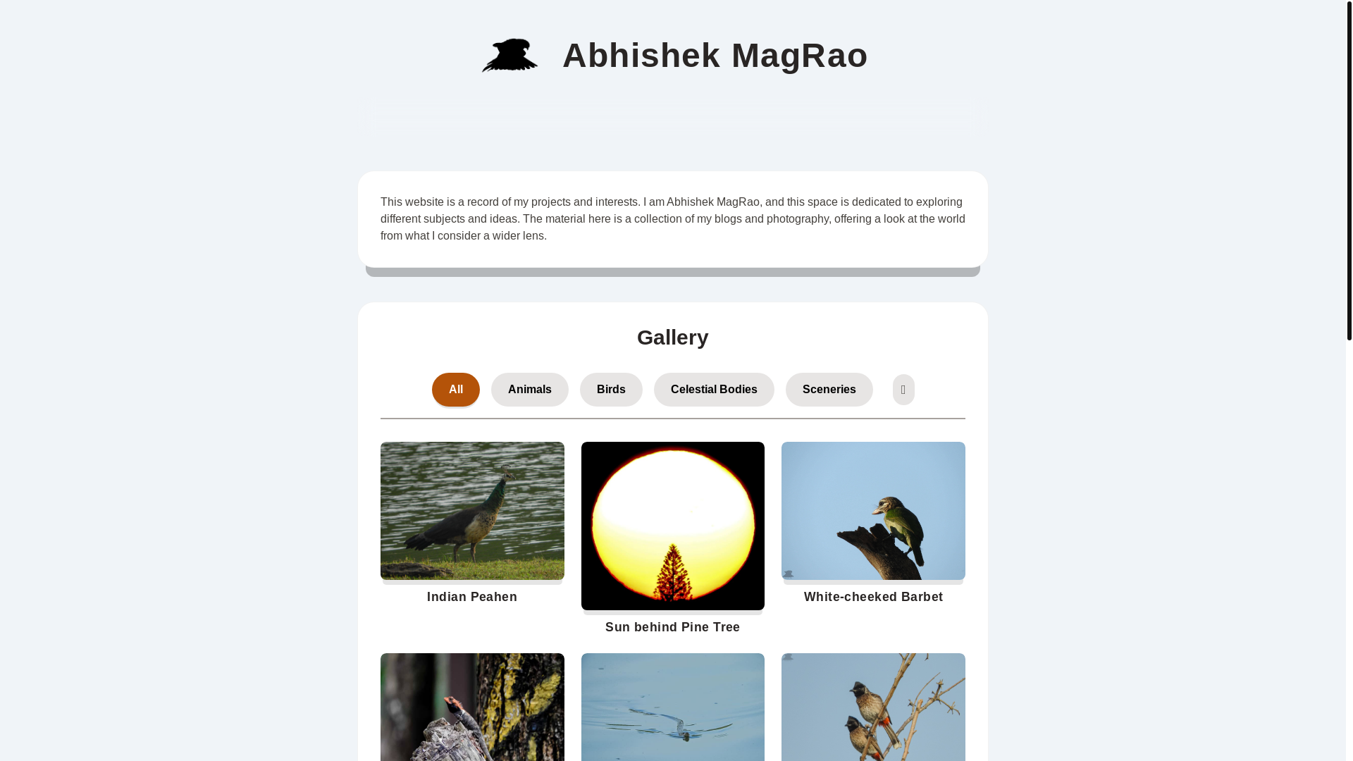 website screenshot of https://abhishek-magrao-website.pages.dev/