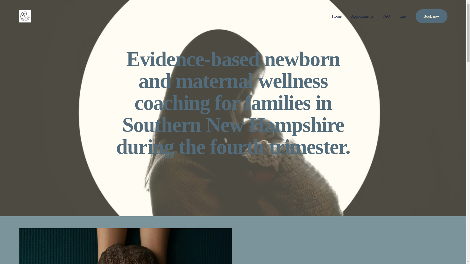 website screenshot of https://gentlestartmotherbabycare.com/