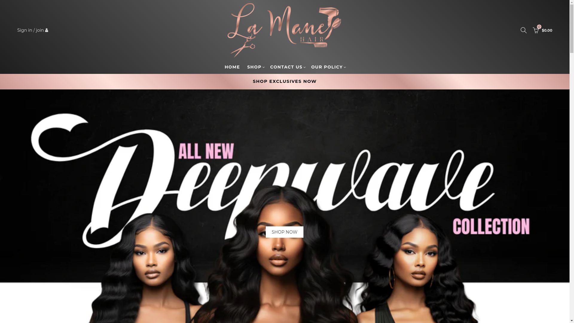website screenshot of https://maneera.co/