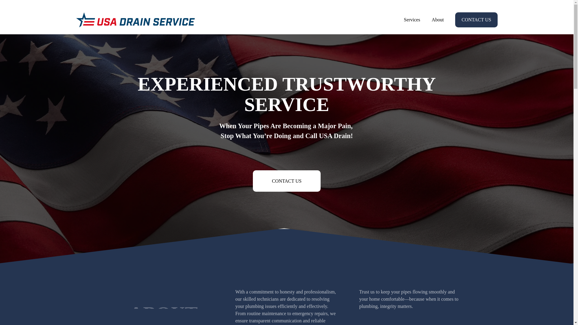 website screenshot of https://usadrainserviceva.com/