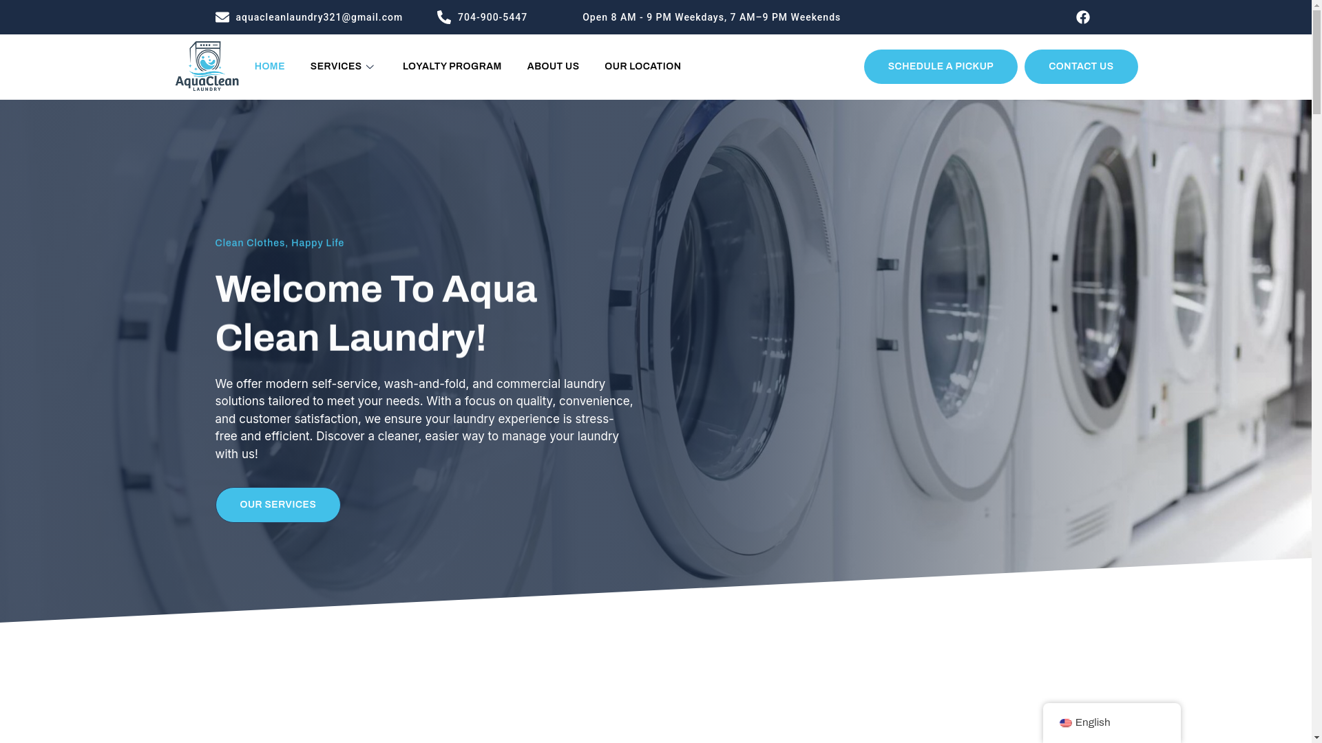 website screenshot of https://getaquacleanlaundry.com/