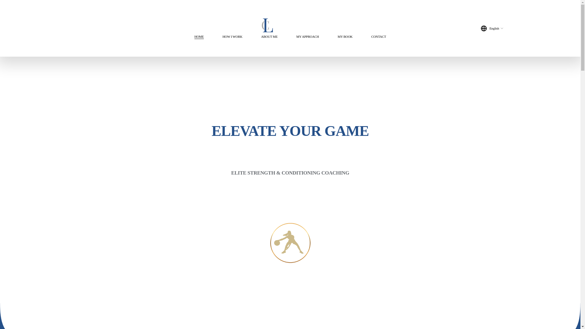 website screenshot of https://lcoachperformance.com/