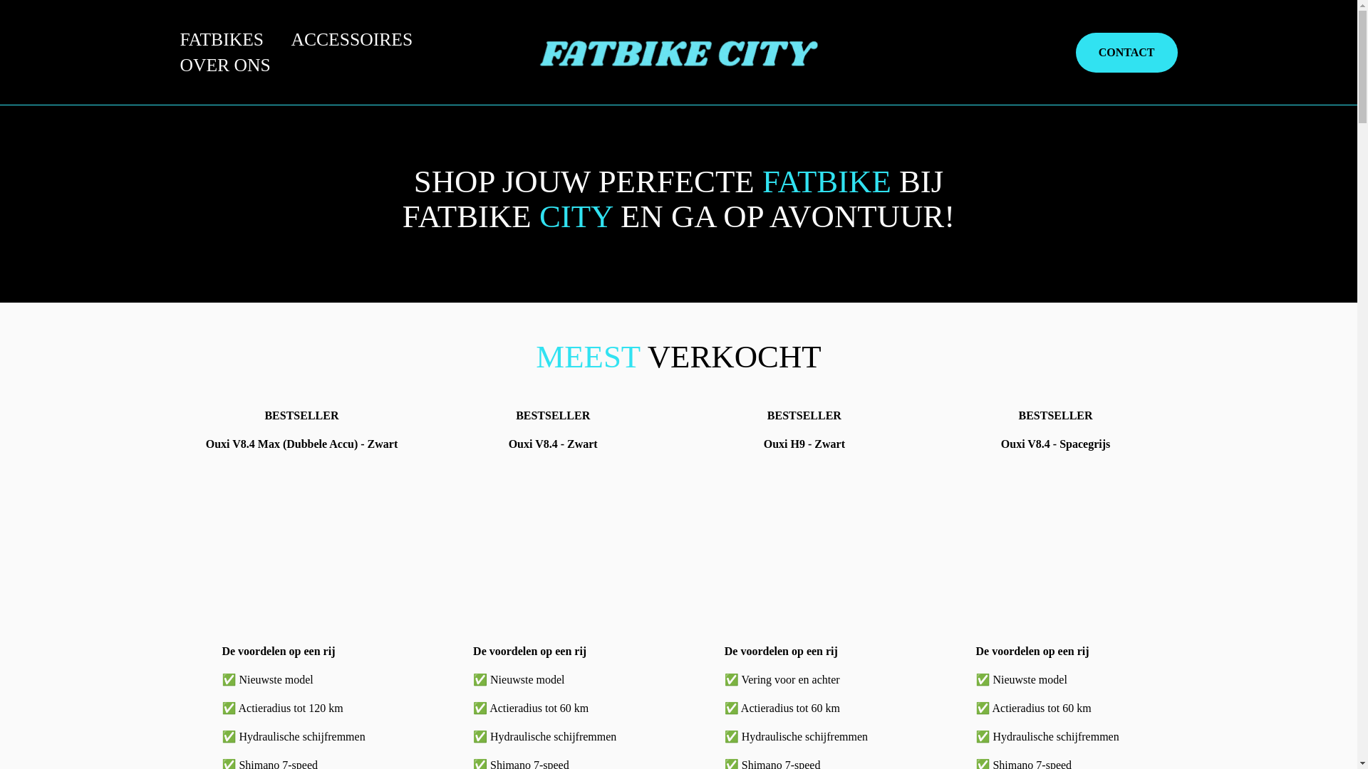 website screenshot of https://fatbike-city.nl/