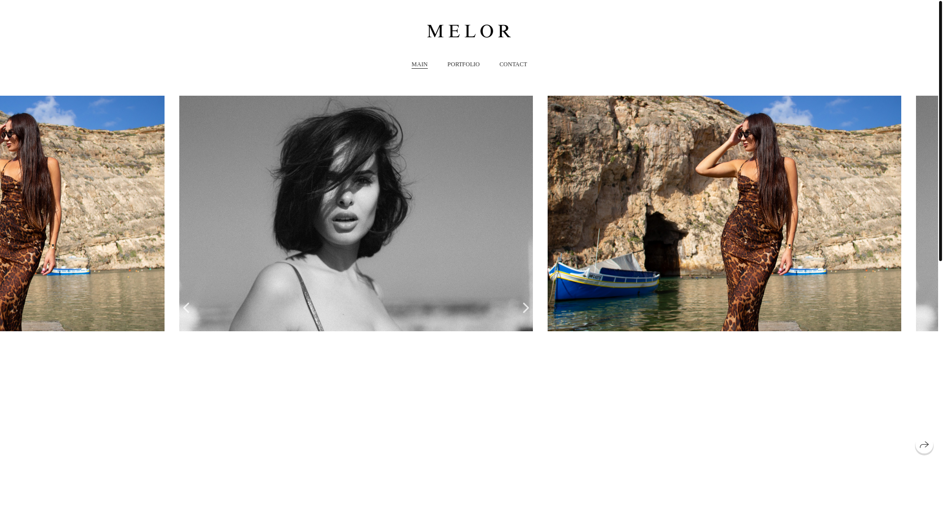 website screenshot of https://melormt.com/