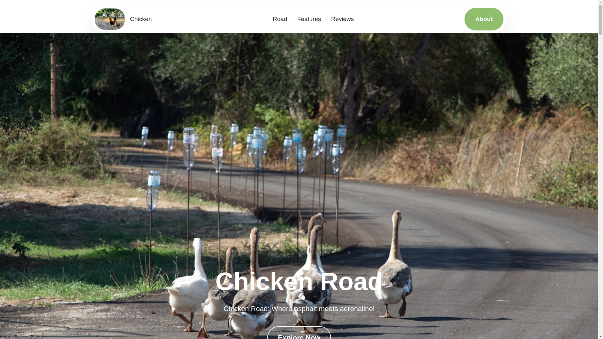 website screenshot of https://chickenroadxonlk.pro/