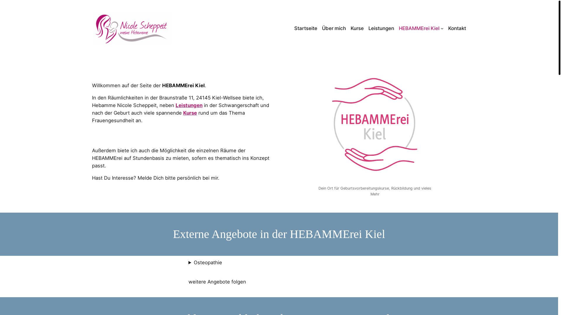 website screenshot of https://hebammereikiel.de/
