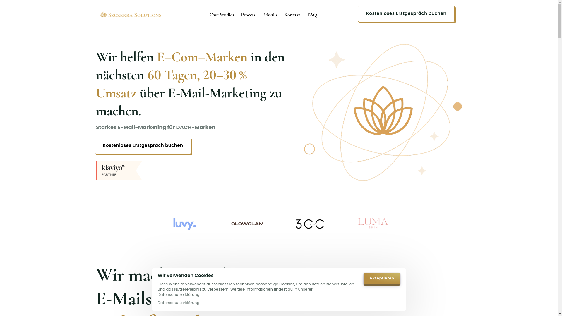 website screenshot of https://myszczerbasolutions.com/