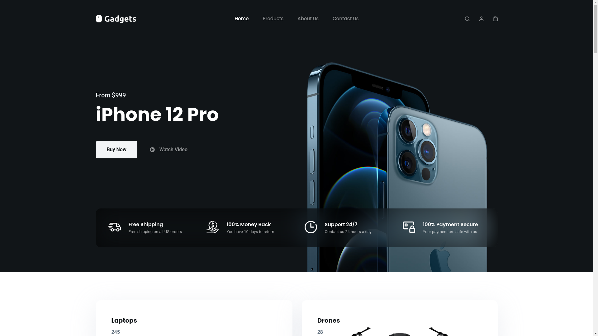 website screenshot of https://ongarosystems.com/
