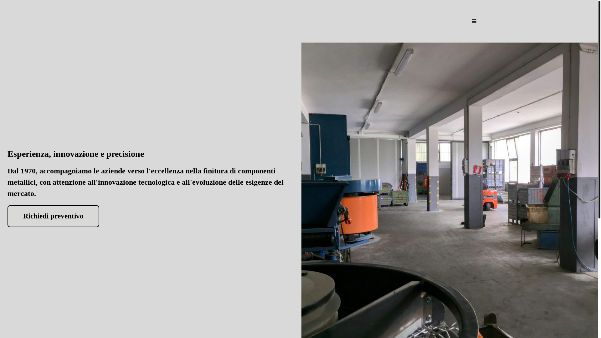 website screenshot of https://ghidinifrancesco.com/