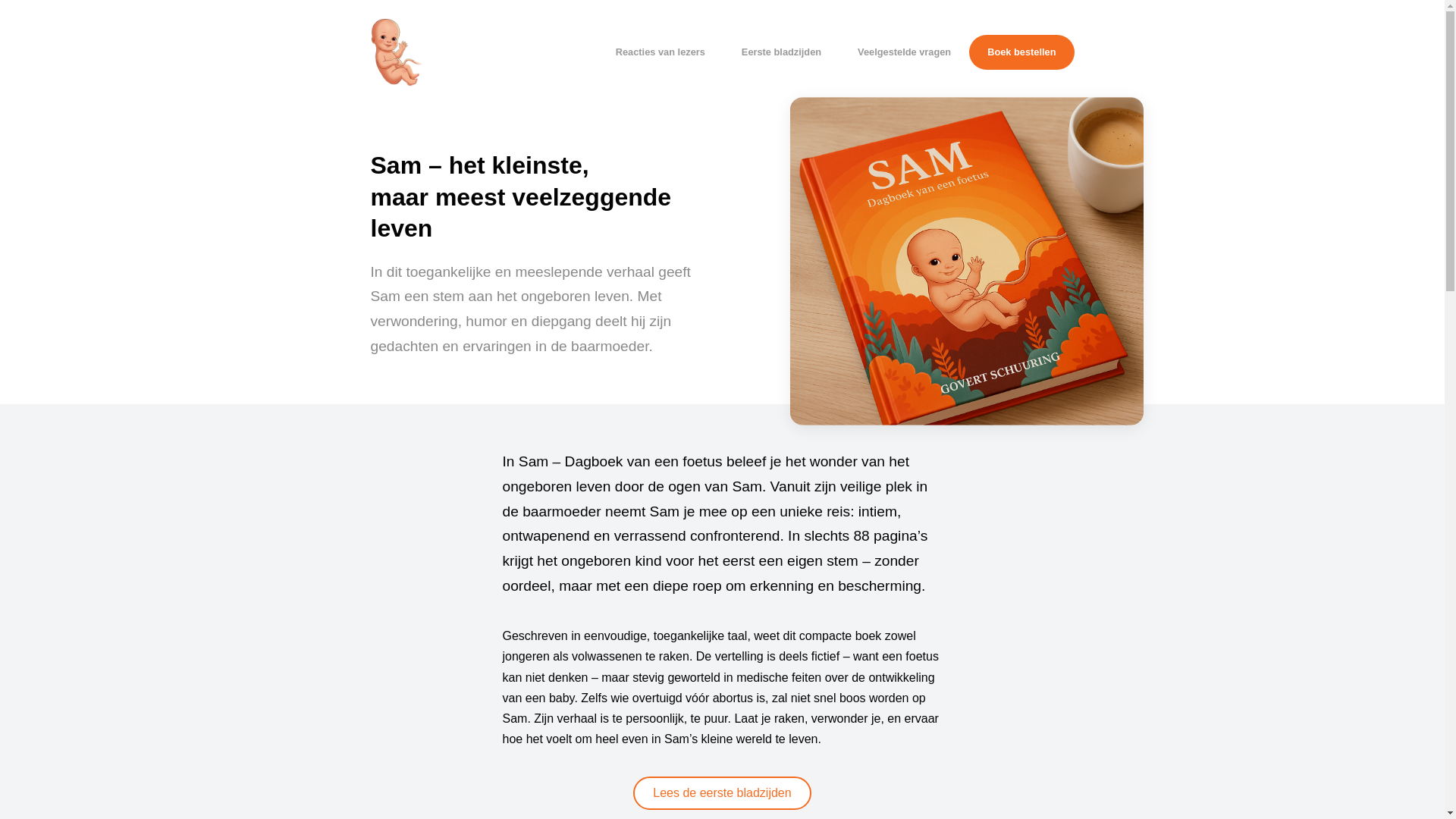 website screenshot of https://readsam-com.pages.dev/