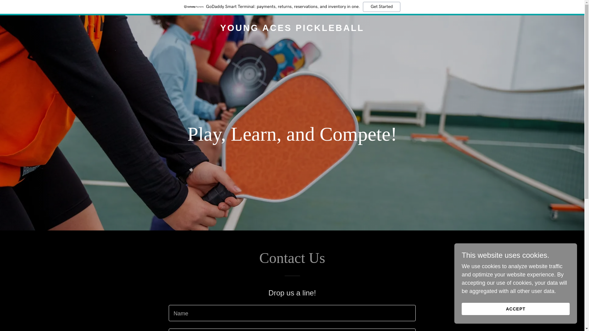 website screenshot of https://youngacespickleball.com/