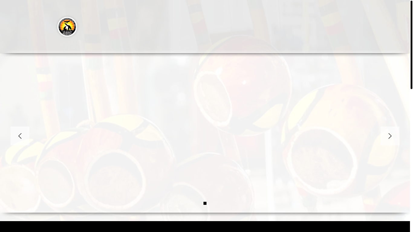 website screenshot of https://icvi.com.br/