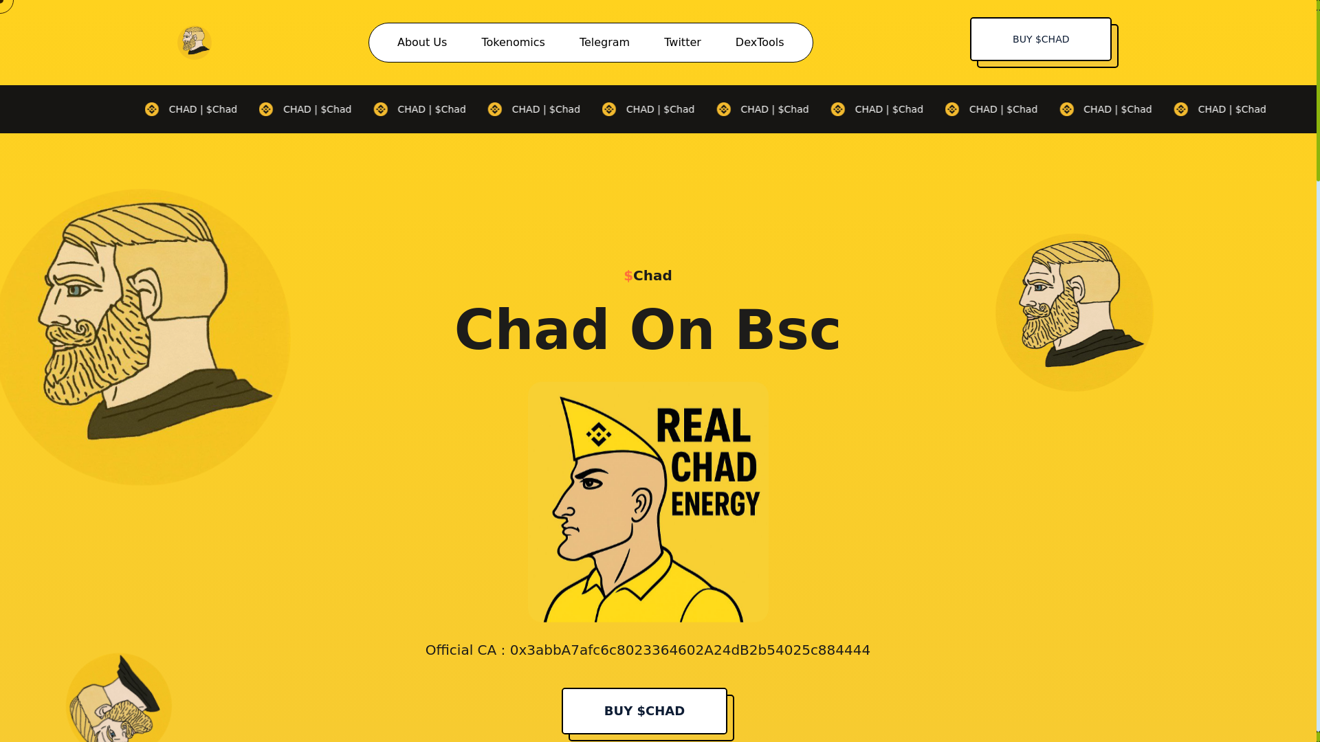 website screenshot of https://chadonbsc.life/