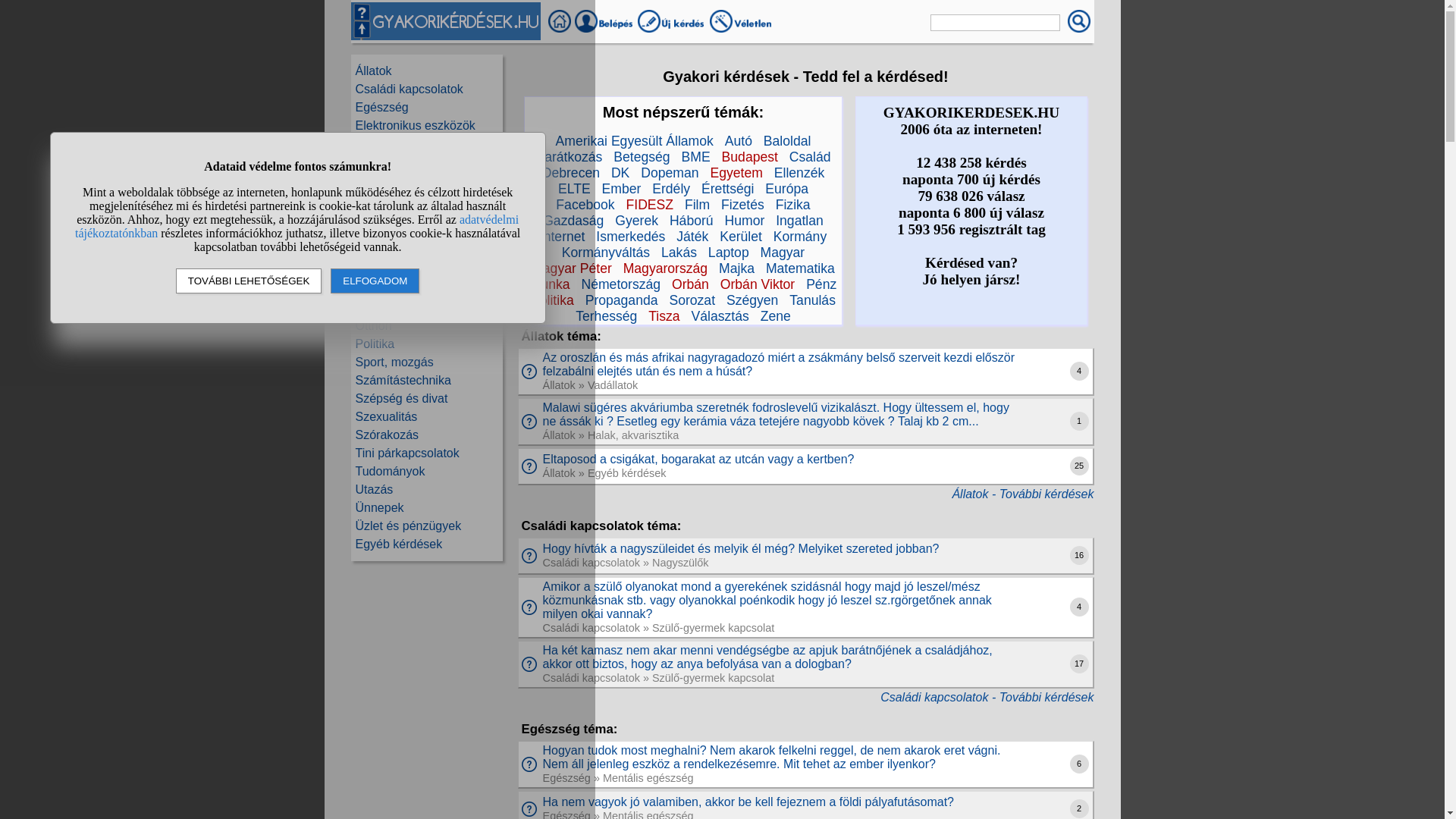 website screenshot of https://www.gyakorikerdesek.hu/